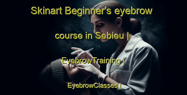 Skinart Beginner's eyebrow course in Sebieu | EyebrowTraining | EyebrowClasses | SkinartTraining-the Democratic Republic of the Congo